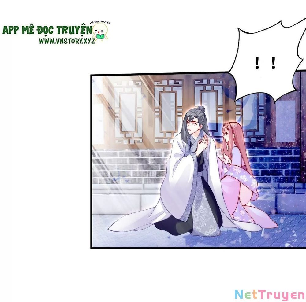 lại bị bệnh chiều chuộng quấn lấy chapter 50 26