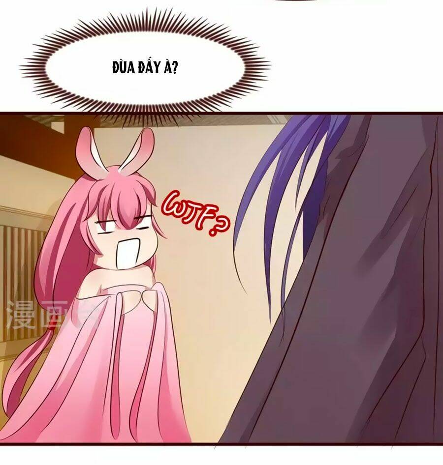 thỏ yêu tiểu vương phi chapter 4 7