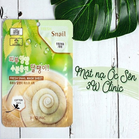 Bộ 10 gói mặt nạ dưỡng ẩm và chống lão hóa chiết xuất ốc sên 3W Clinic Fresh Snail Mask Sheet (23ml x 10) - Hàn Quốc Chính Hãng