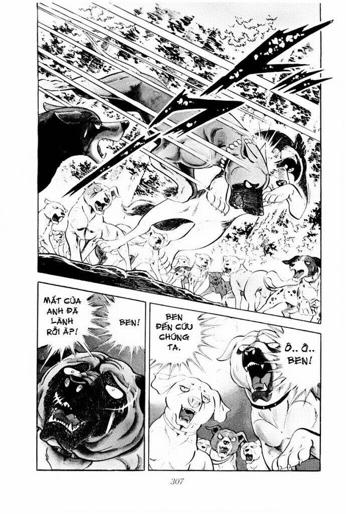 chú chó có nghĩa - ginga nagareboshi gin chapter 30.2 30