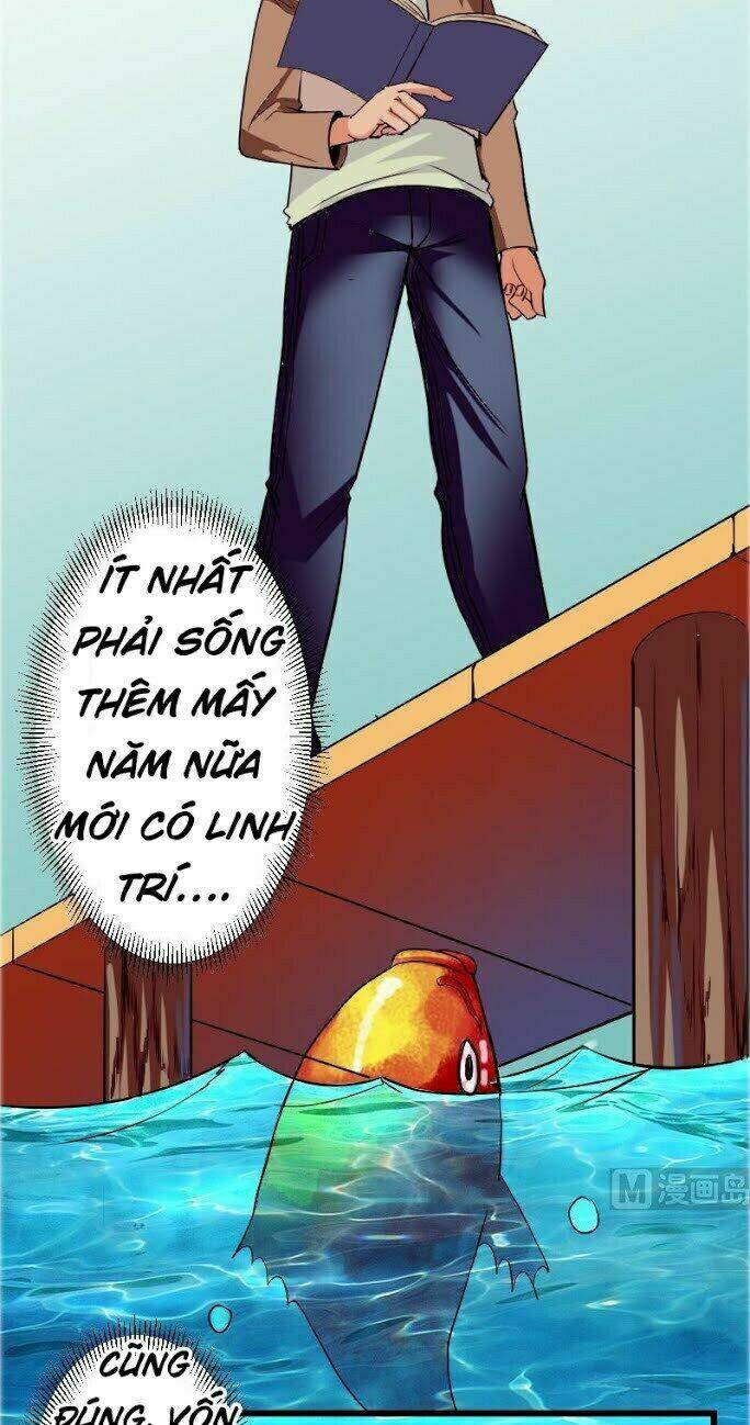 ngưu thư cung ứng thương chapter 69 12