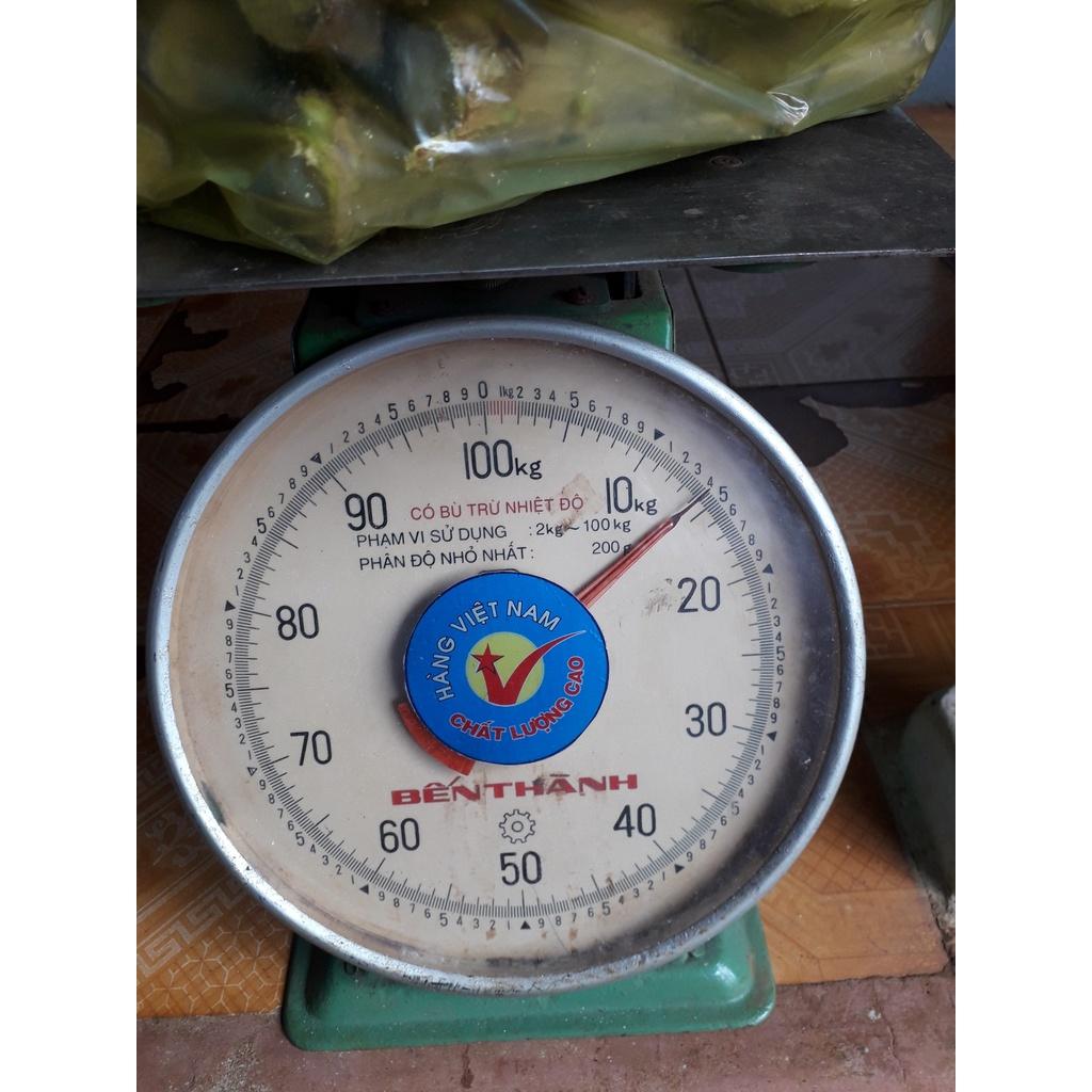 100 HOM GIỐNG KHOAI MÌ RUỘT VÀNG DẺO THÁI LAN.