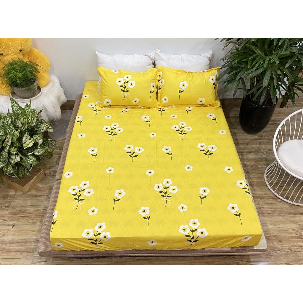 Ga chun bọc đệm poly cotton các kích thước