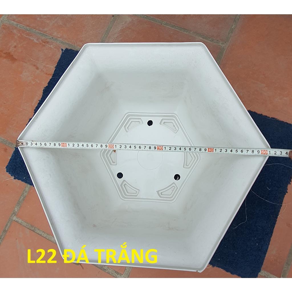 Chậu nhựa lục giác Phúc, Lộc, Thọ L22 đa sắc màu