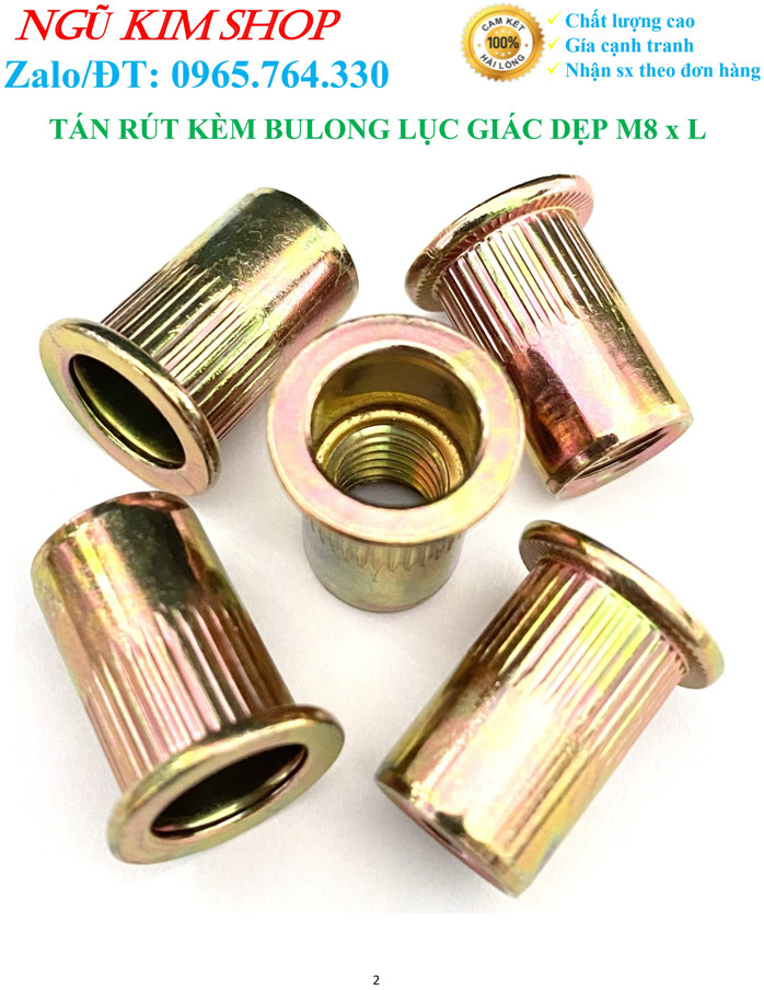 TÁN RÚT KÈM BULONG LỤC GIÁC DẸP M8 x L