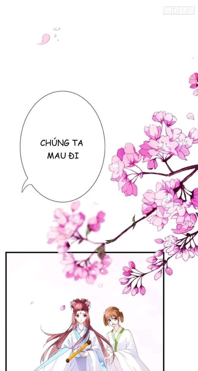 vương phi - âm động thiên hạ chapter 2 20