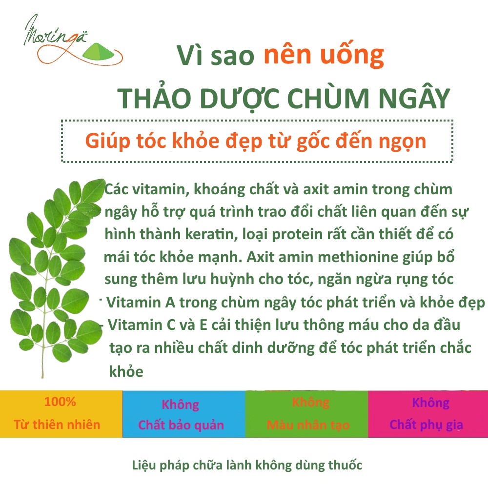 Bột Chùm Ngây Moringa - Thảo dược giúp tăng sức đề kháng, phòng ngừa loãng xương, hỗ trợ điều trị tiểu đường, đau nhức xương khớp, ổn định huyết áp, đẹp da