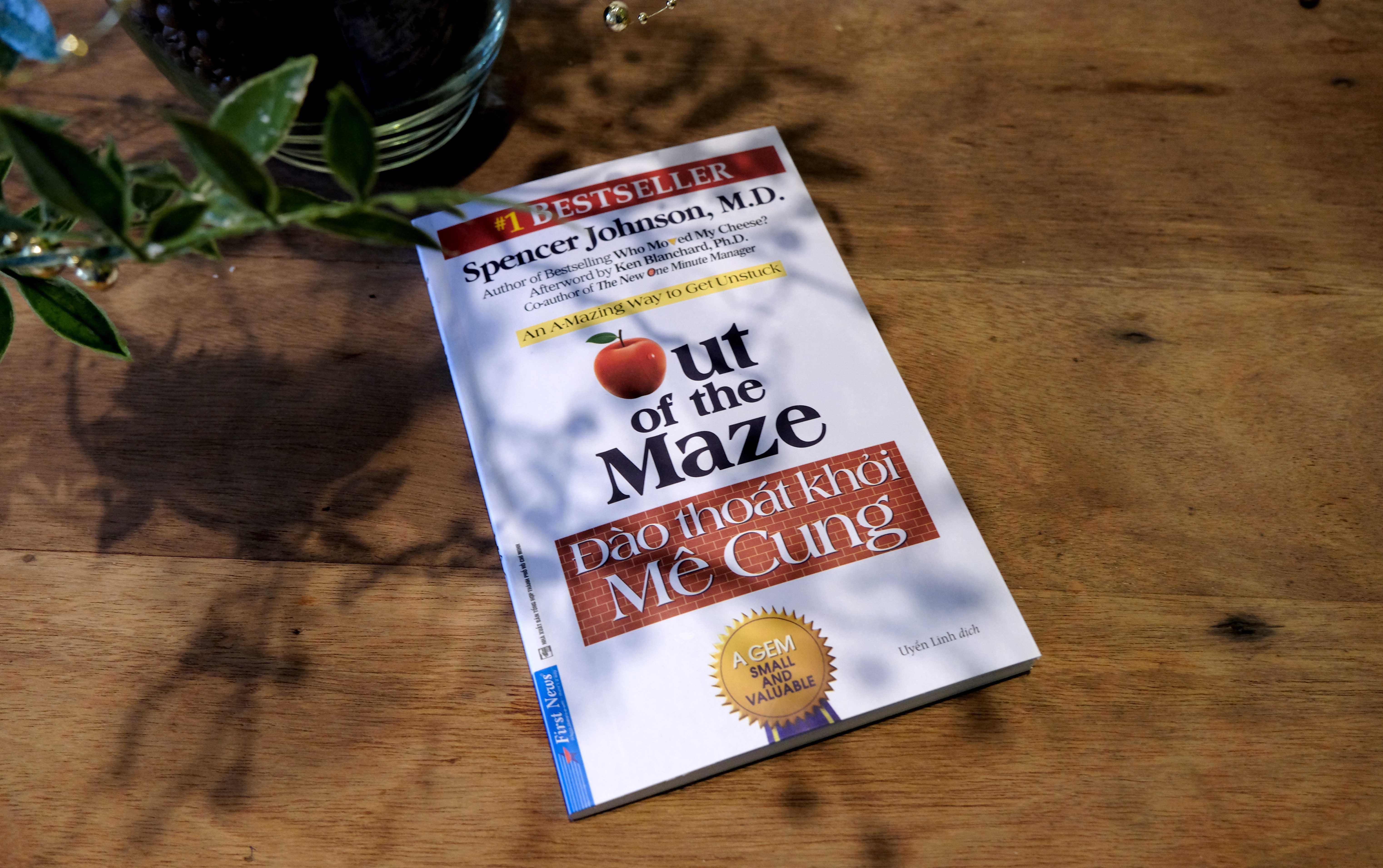 Out Of The Maze - Đào Thoát Khỏi Mê Cung