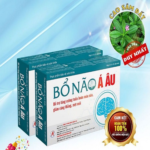 BỔ NÃO Á ÂU