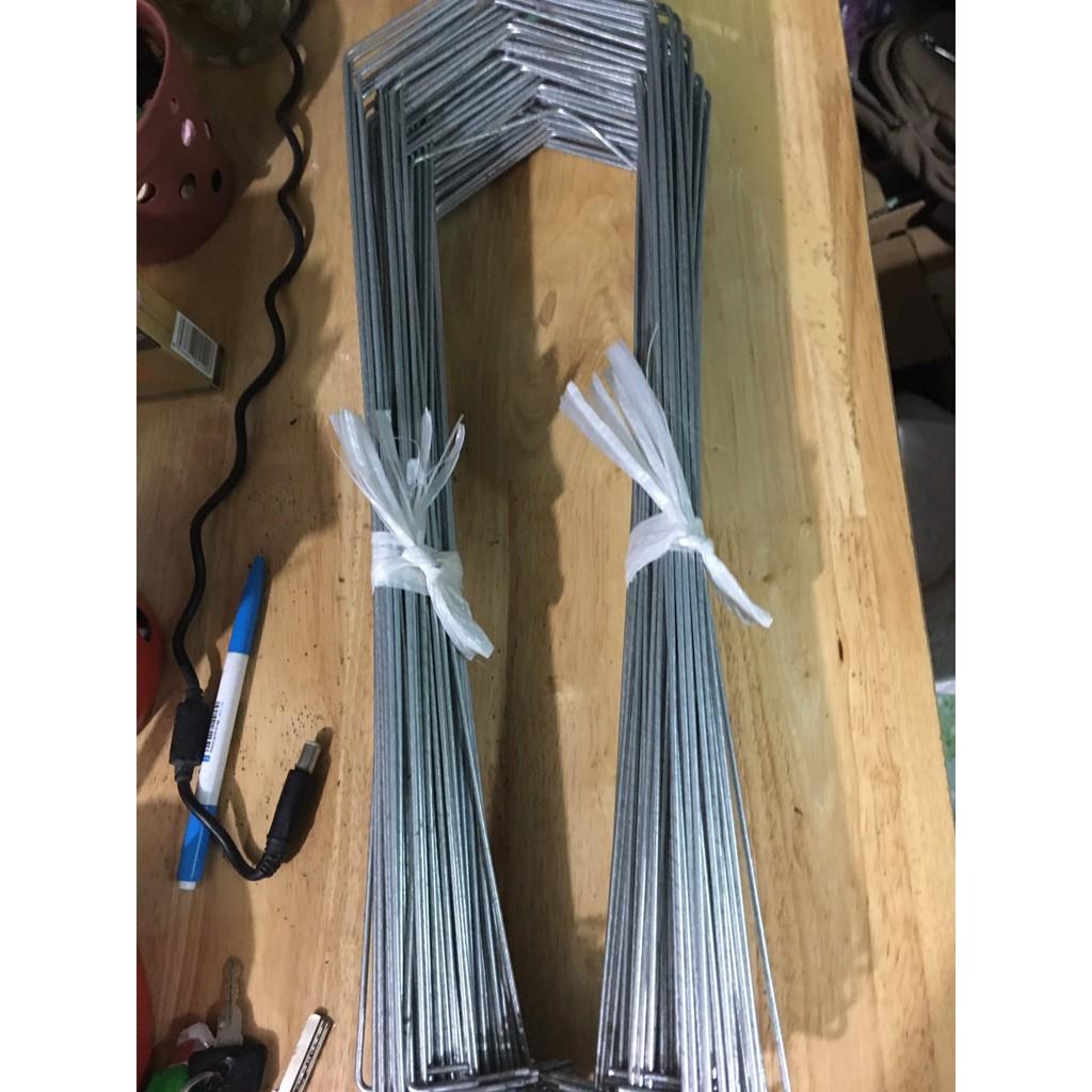 100 móc U chậu 12