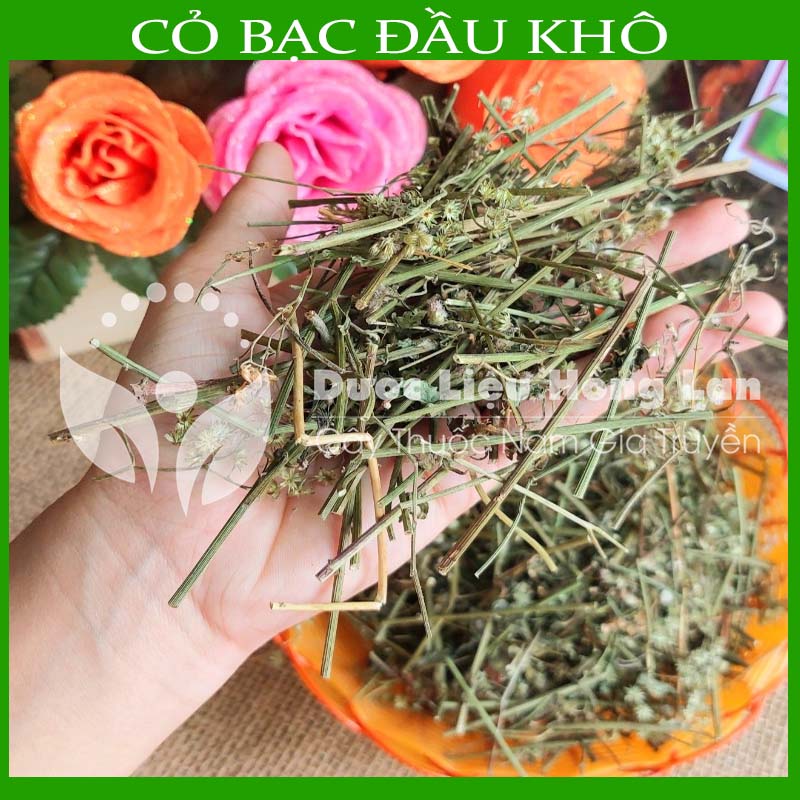 Cây Cỏ Bạc Đầu khô sạch gói 1KG