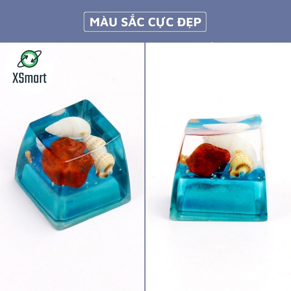 Keycap Nút Bàn Phím Ốc Đại Dương Tự Nhiên Thủ Công Cực Đẹp Nhựa Resin Trong Suốt Xuyên LED-Hàng Chính Hãng