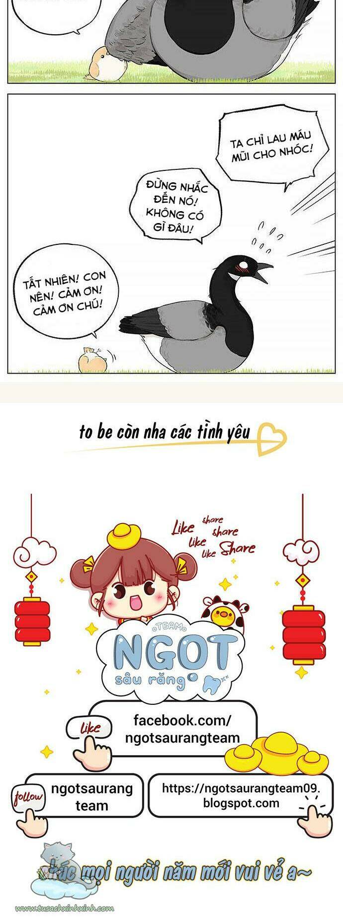 chim sẻ gọi ngỗng trời chapter 20 5