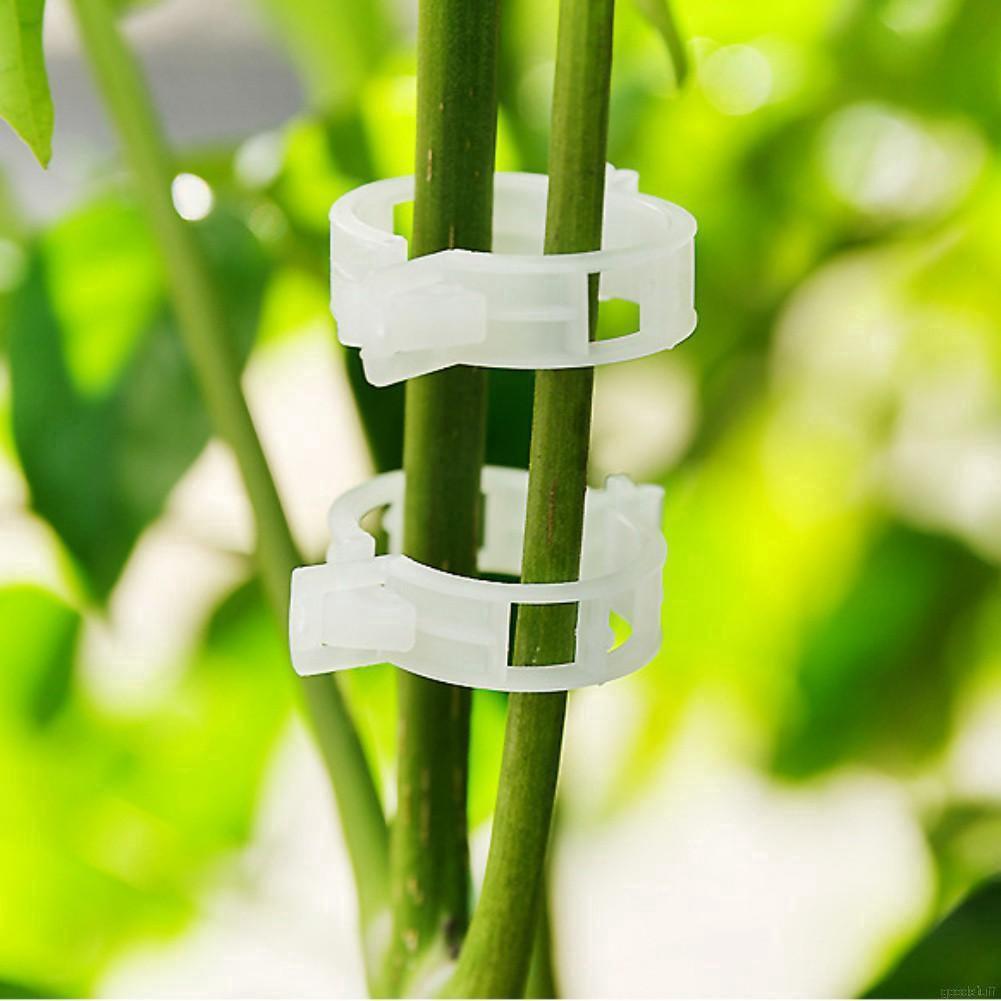 Bộ 50 kẹp cây bền, hỗ trợ làm vườn
