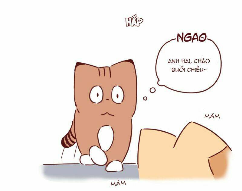 saphie: chú mèo một mắt chapter 29 4