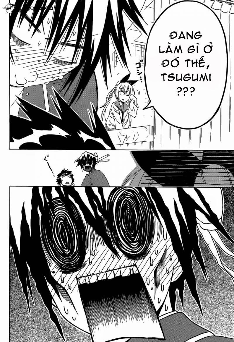 nisekoi - tình yêu giả tạo chapter 140 20