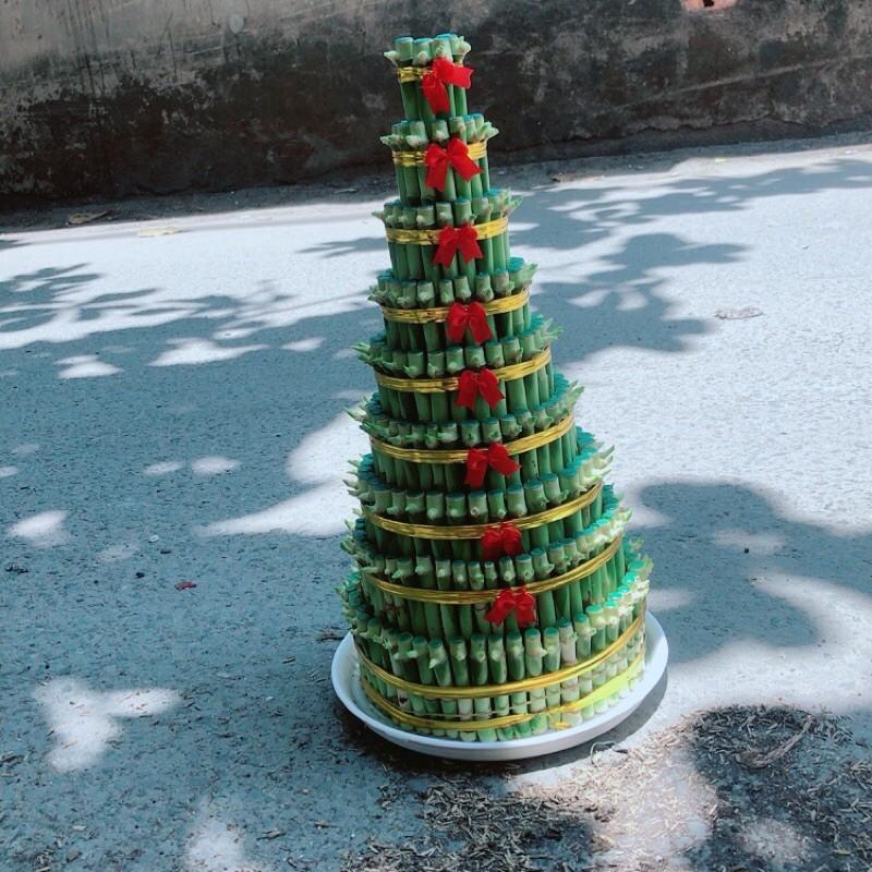 Trúc Phát Tài 9 Thân Kèm Dĩa