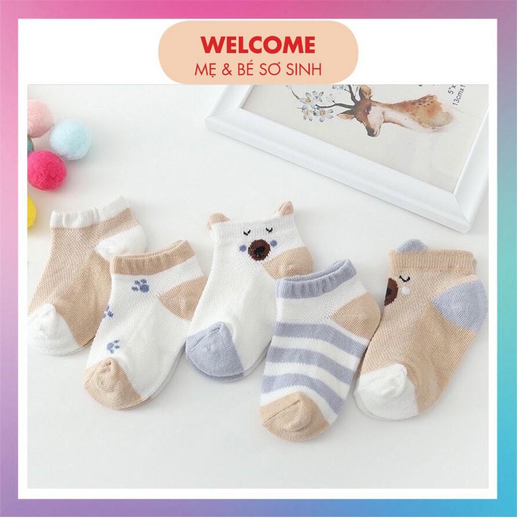 TẤT LƯỚI ️️ Set 5 Đôi Tất Lưới Kid's Socks Cổ Thấp Cho Bé