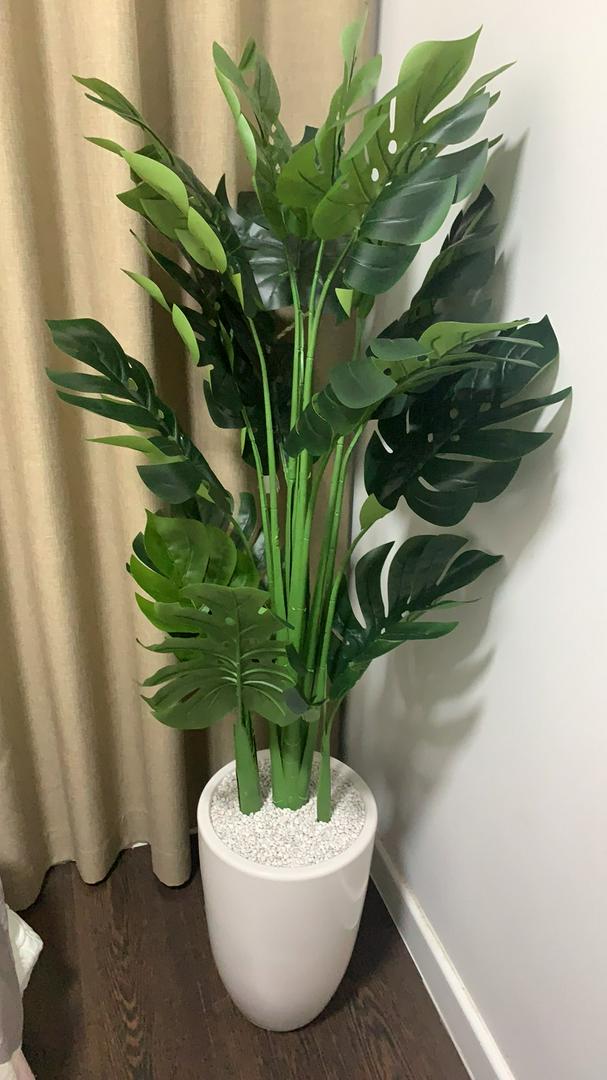 Cây giả – Cây trầu bà lá xẻ nam mỹ monstera giả – Chậu gồm 3 nhánh 18 lá – Cao 130 cm – Cây lá rùa, lá rách – Cây nội thất giả, hoa lụa trang trí decor