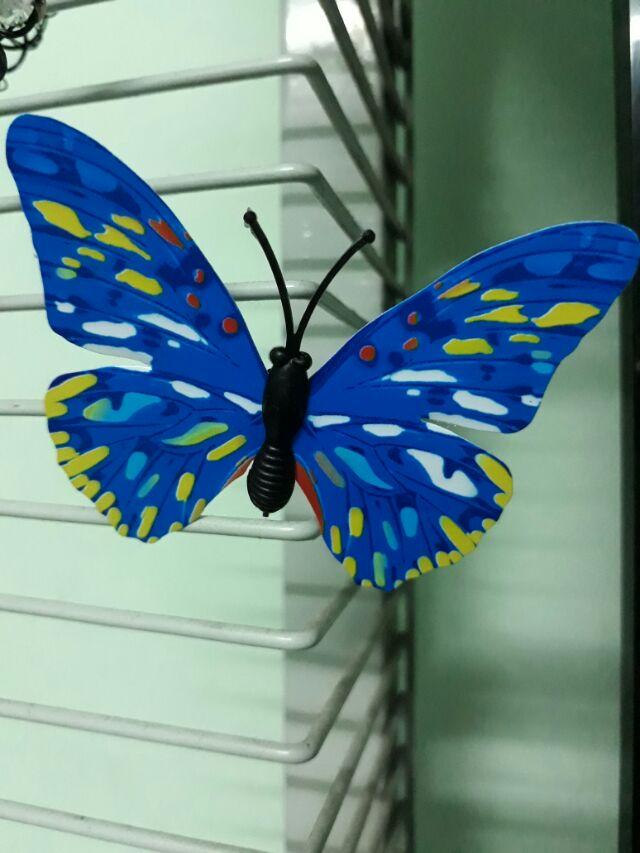 Bộ bướm 3d nam châm