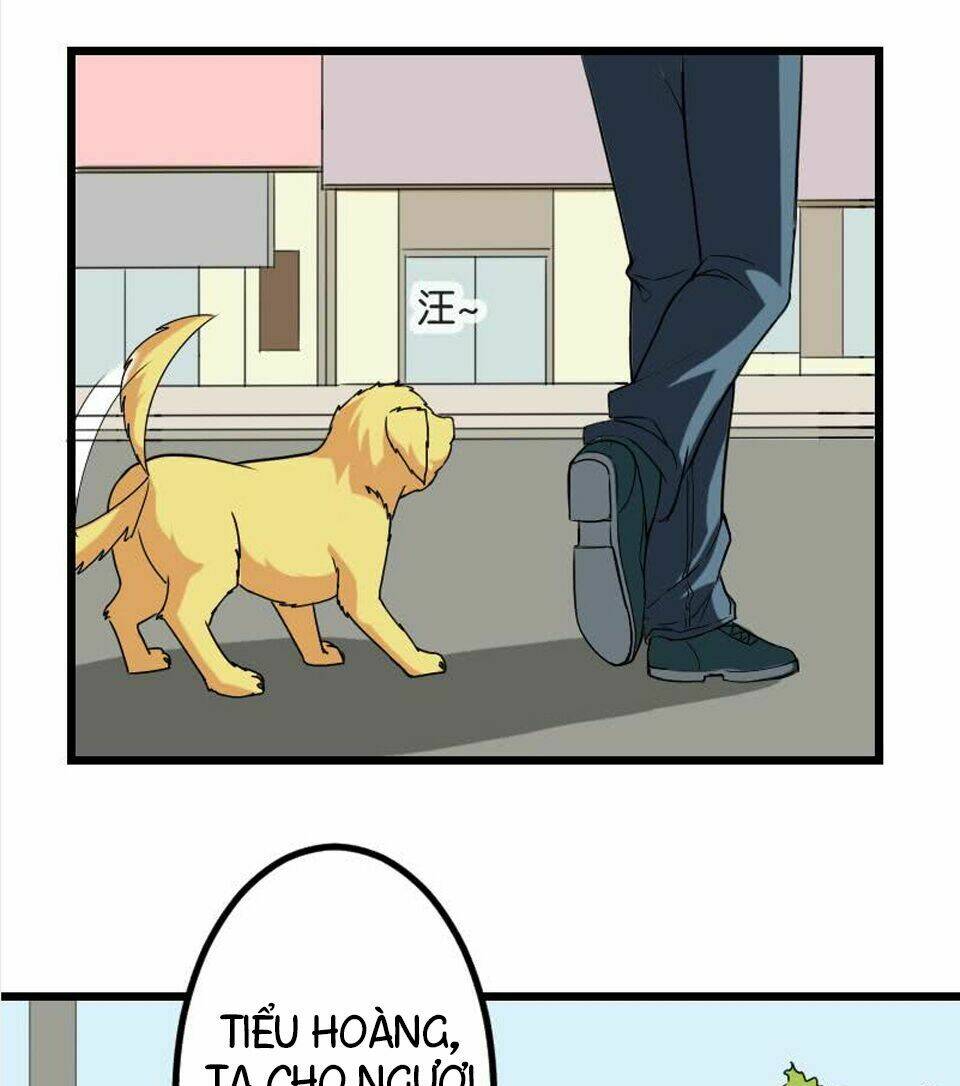 ngưu thư cung ứng thương chapter 14 15