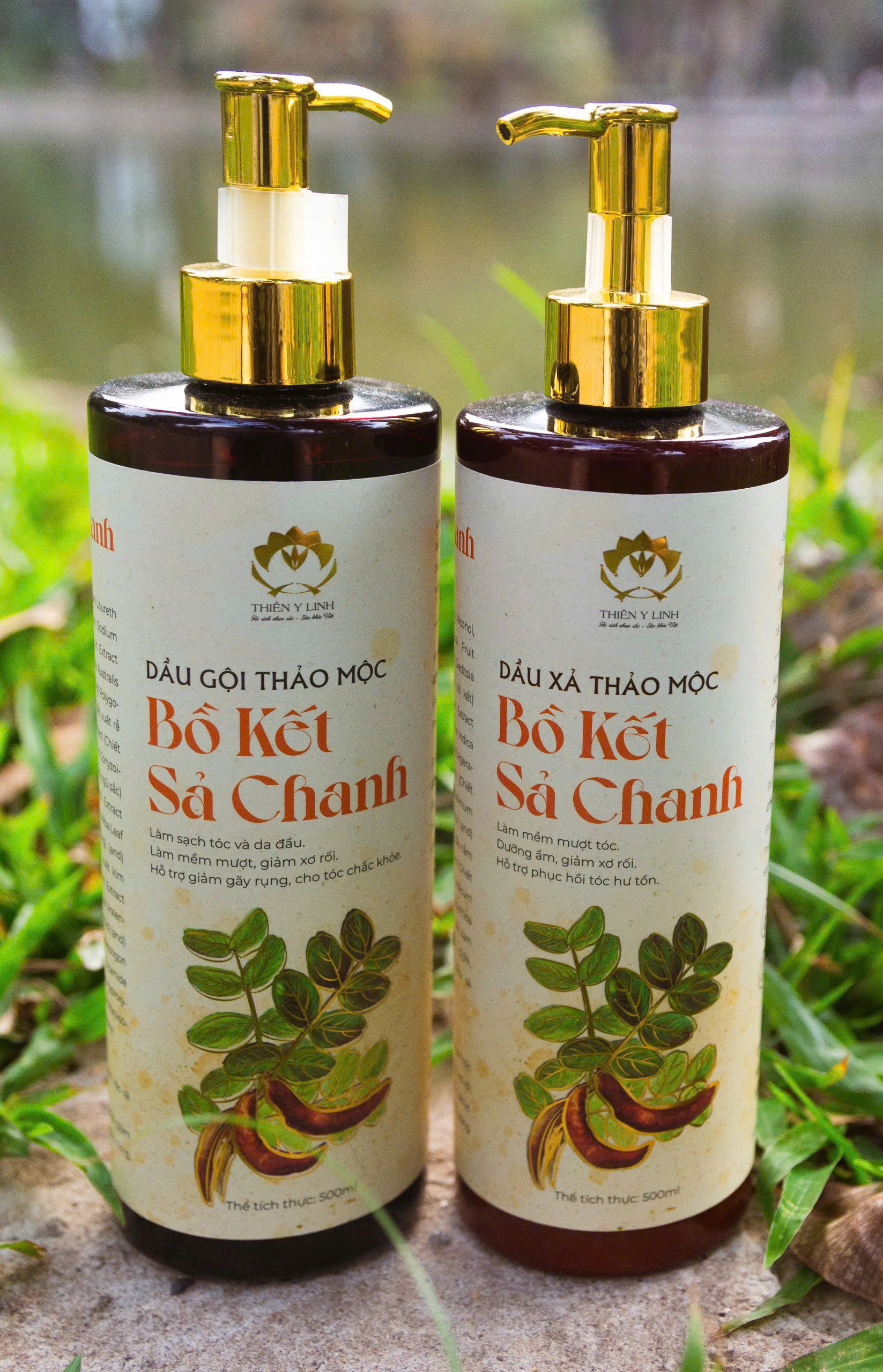 Dầu Gội Bồ Kết Sả Chanh thảo mộc cho nam giới giảm gàu ngăn rụng tóc