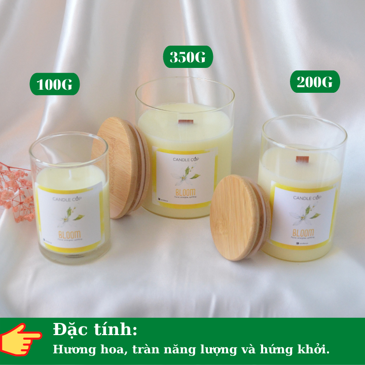 Nến thơm phòng ngủ AGAYA Candle Cup,Nến thơm giúp giảm stress,thư giãn,ngủ ngon,trang trí decor phòng,làm quà tặng