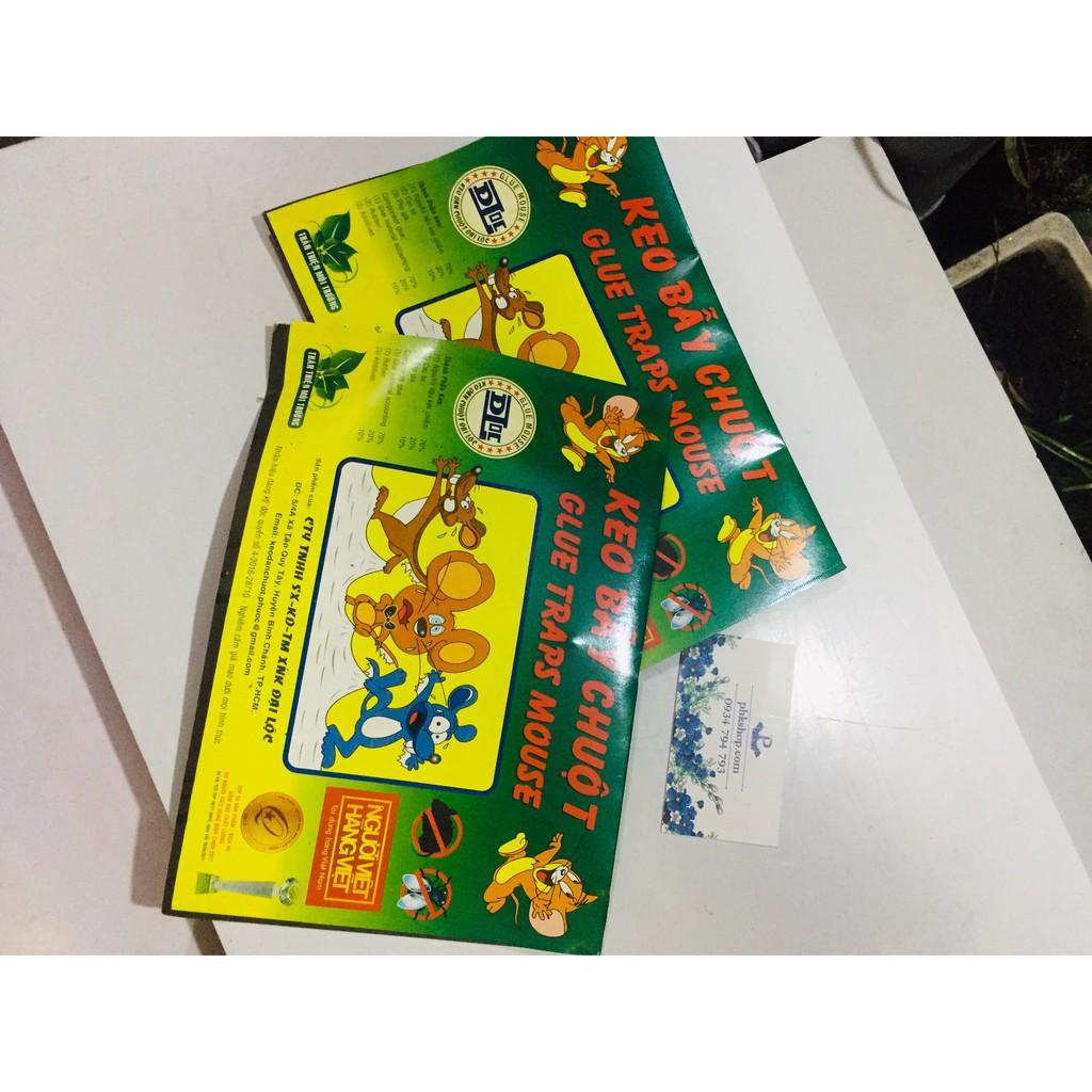 Combo 5 miếng keo dính chuột loại 1 kèm mồi an toàn sức khỏe