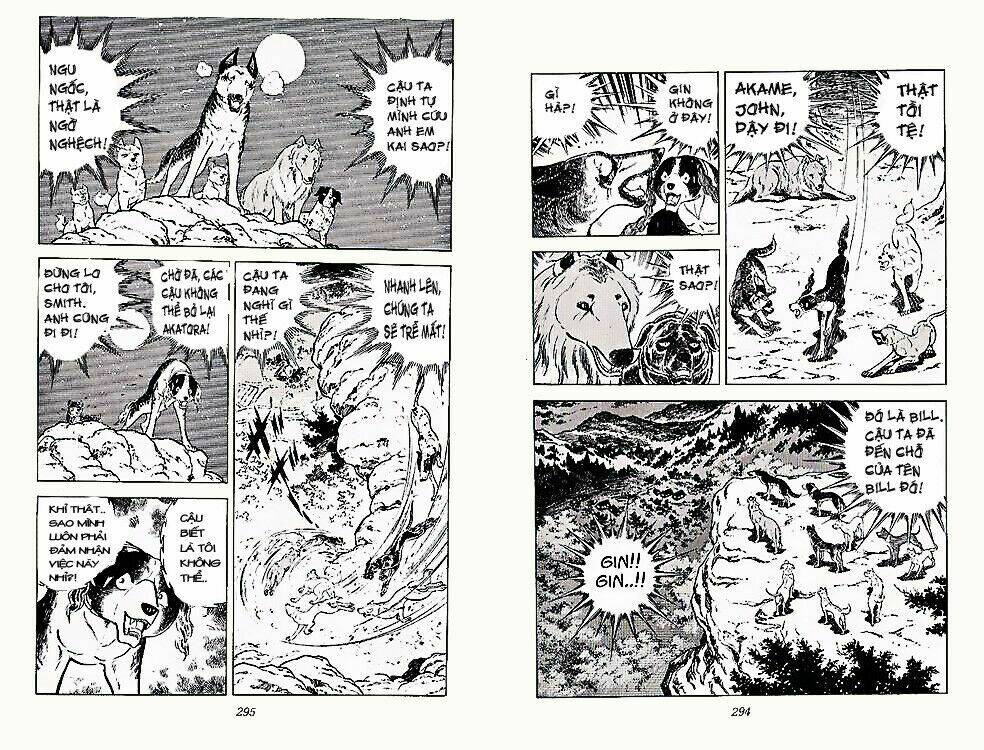 chú chó có nghĩa - ginga nagareboshi gin chapter 23 11