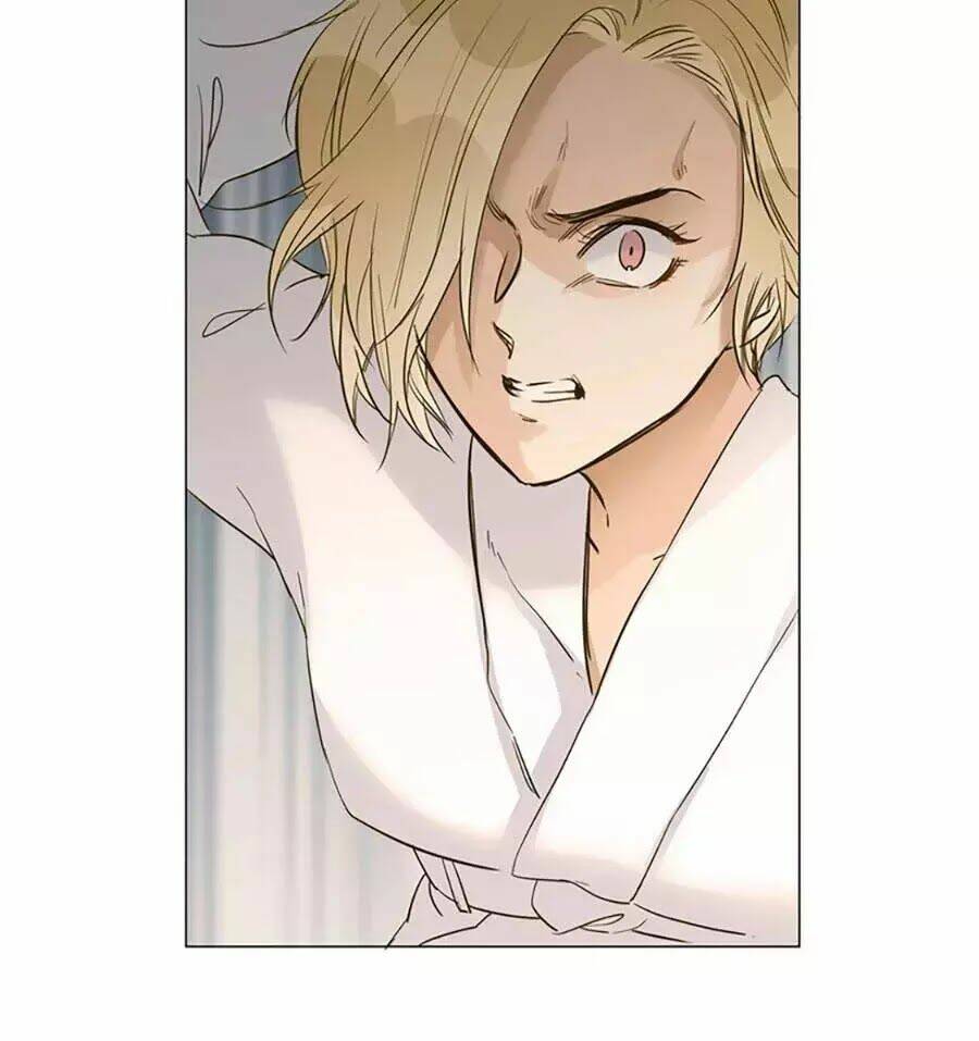 ngôi sao vụn vỡ chapter 31 62