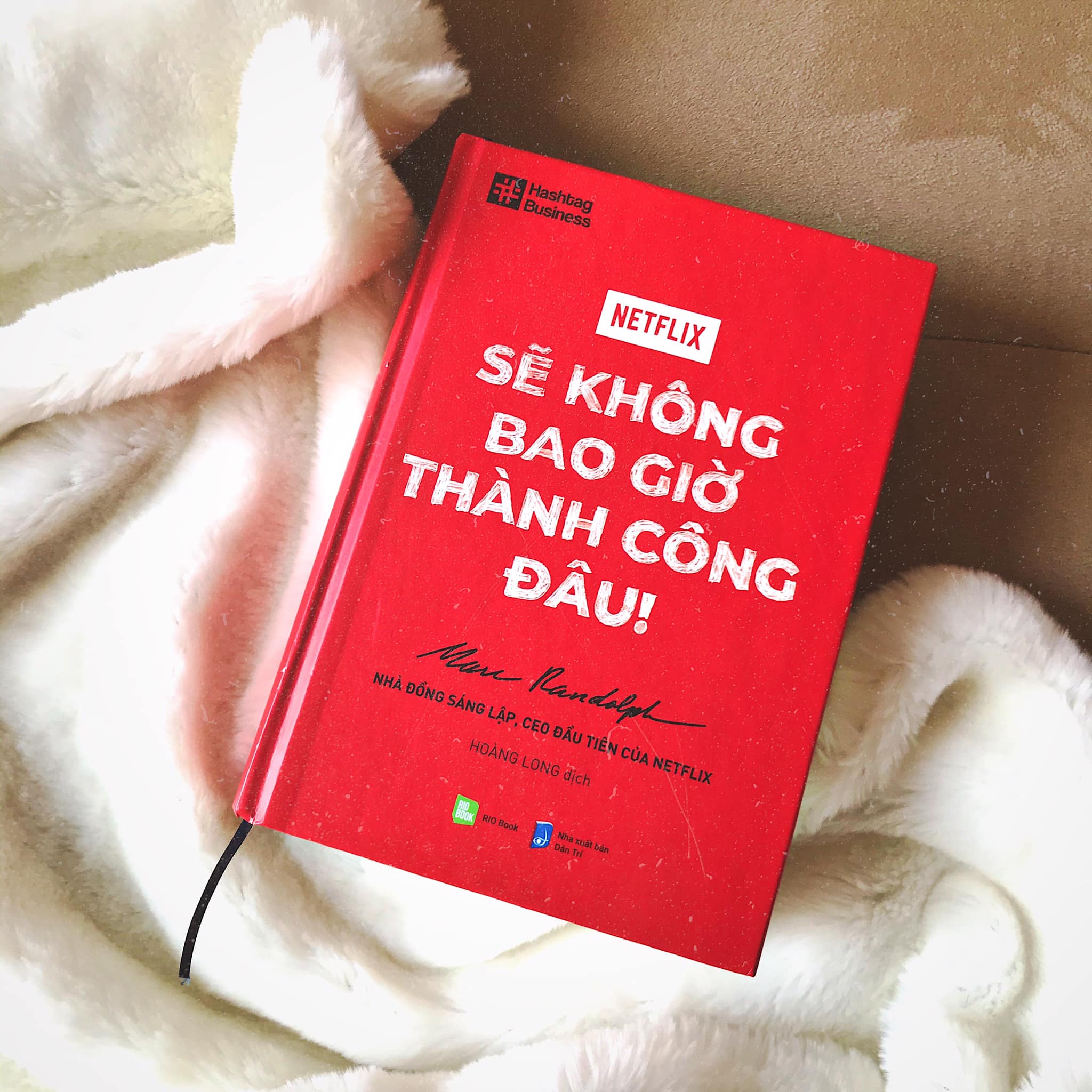 NETFLIX - Sẽ Không Bao Giờ Thành Công Đâu!