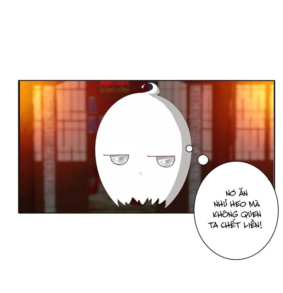 thông linh phi chapter 623 16