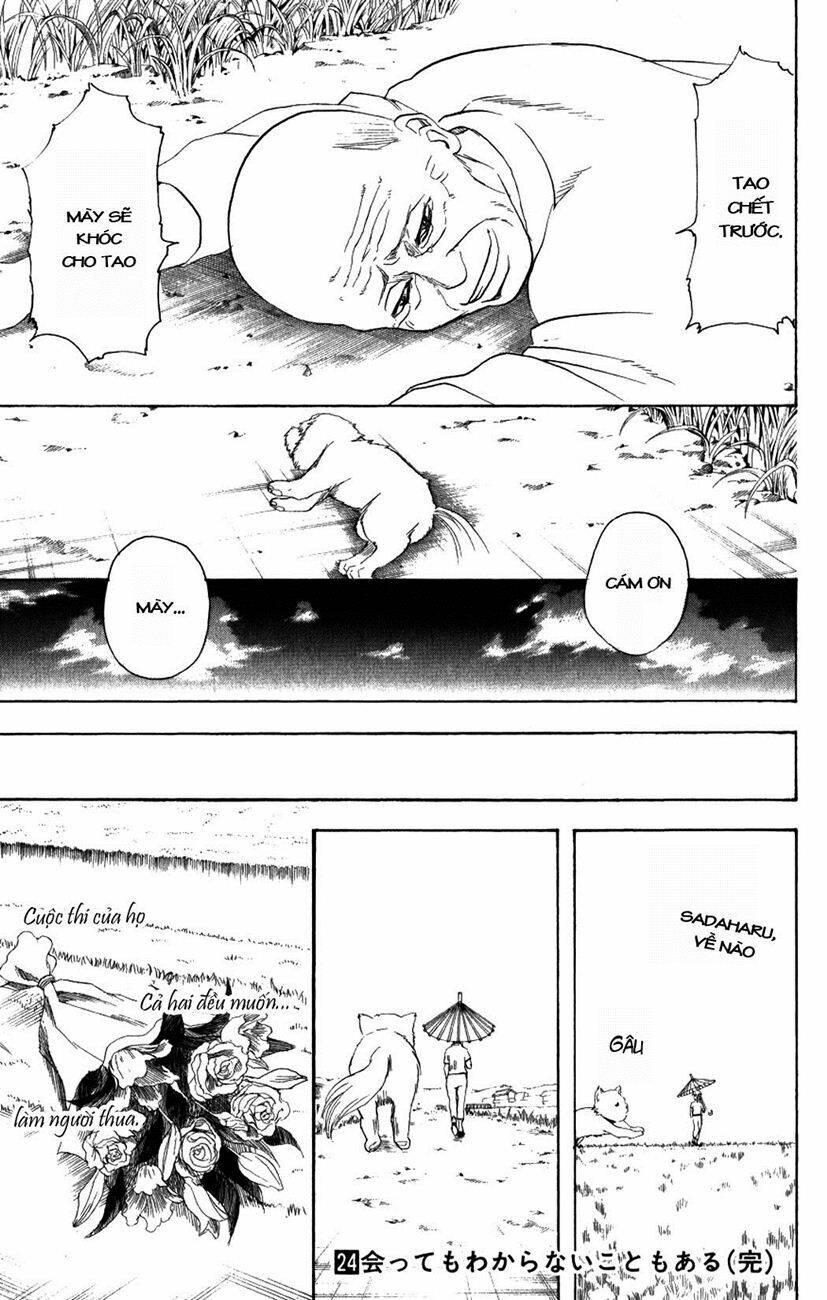 gintama - linh hồn bạc chapter 209 21