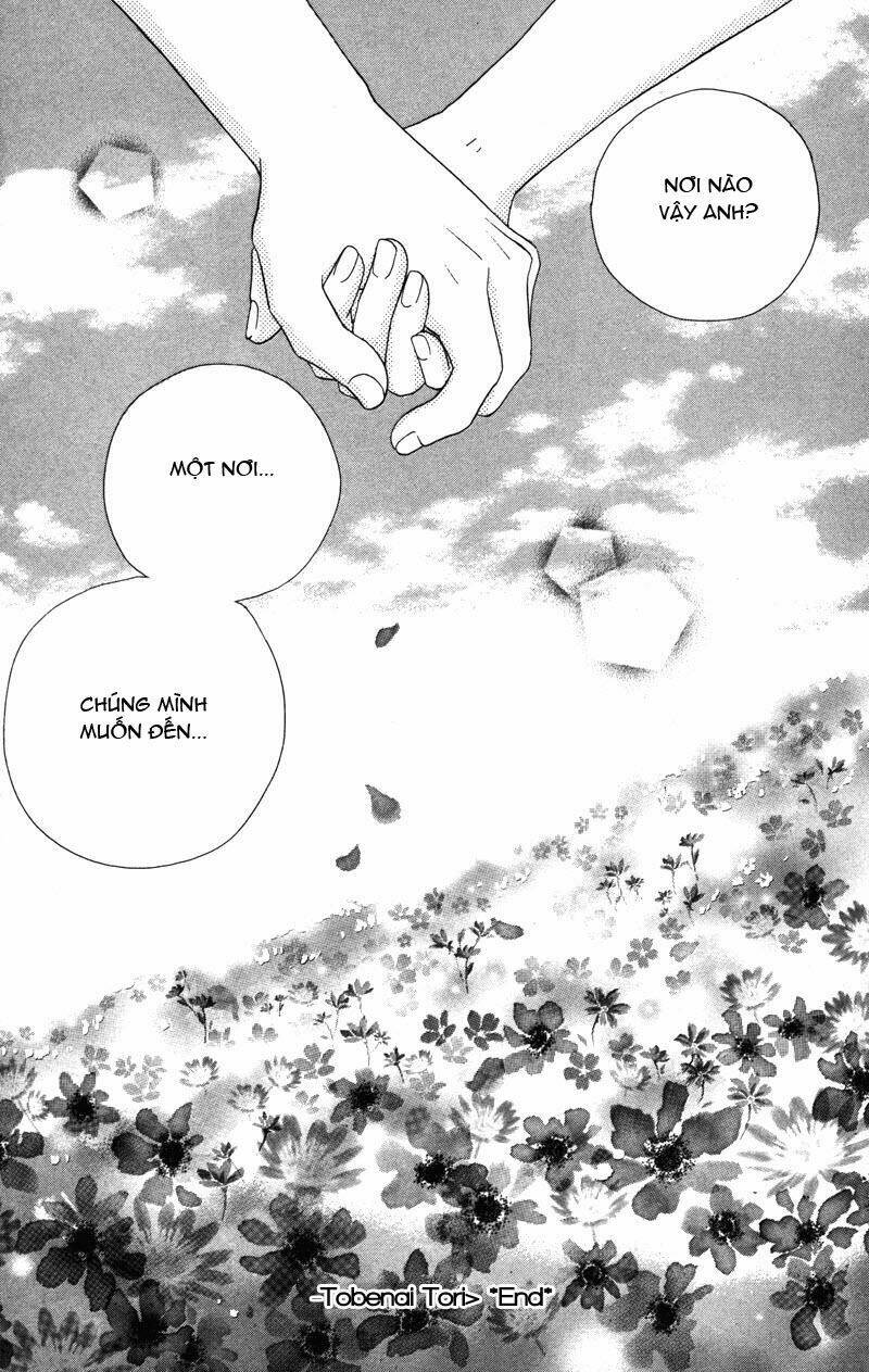 thiên thần gãy cánh chapter 3 33