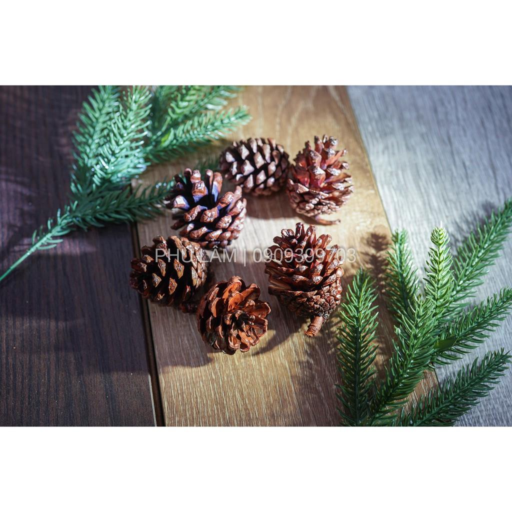 NOEL - PHỤ KIỆN GIÁNG SINH - PHỤ KIỆN TRANG TRÍ VÒNG NGUYỆT QUẾ CÁC LOẠI