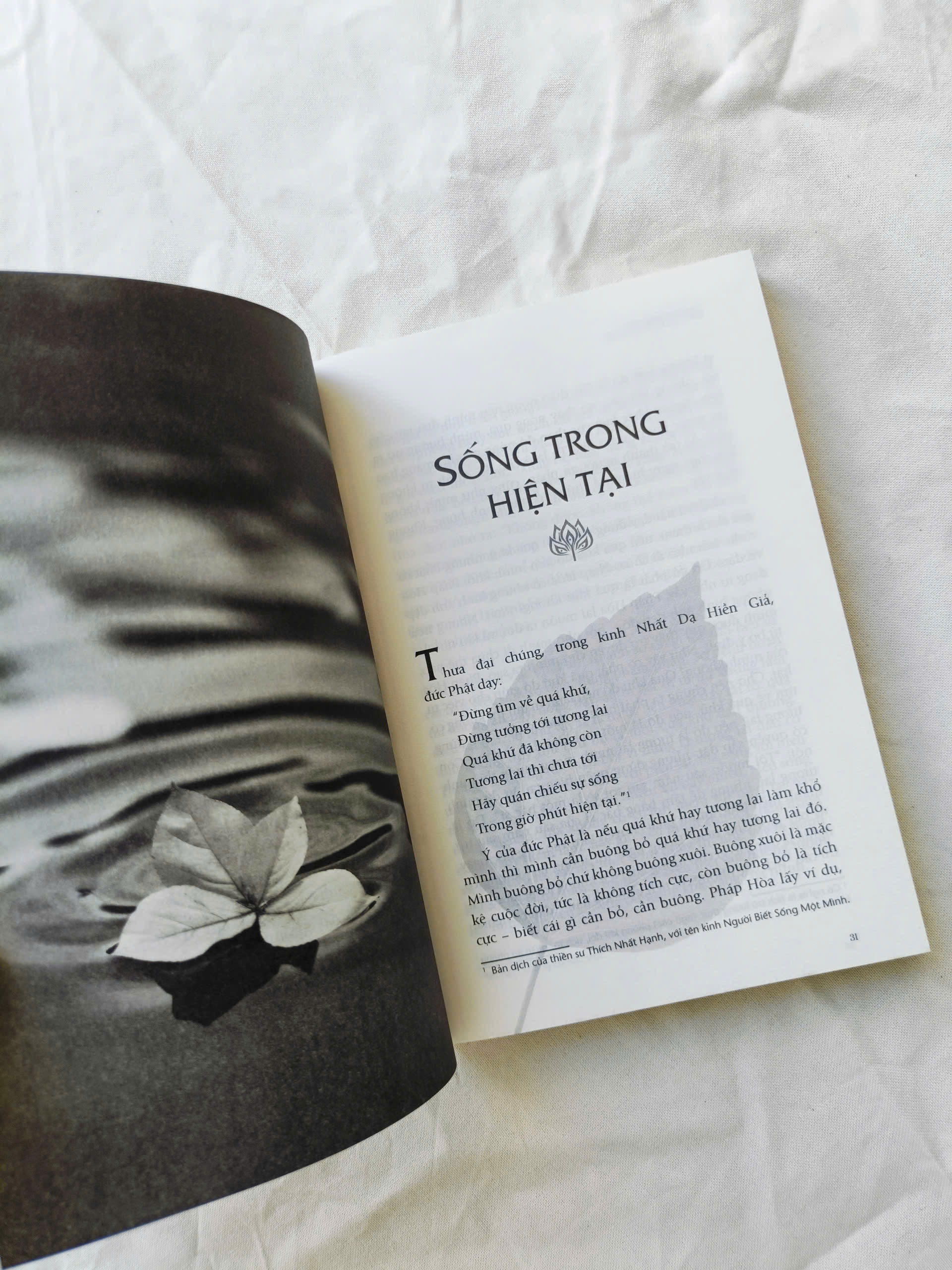 Chia Sẻ Từ Trái Tim (Thích Pháp Hòa) - 50 Bài Giảng Nhân Quả Thiết Thực Trong Cuộc Sống