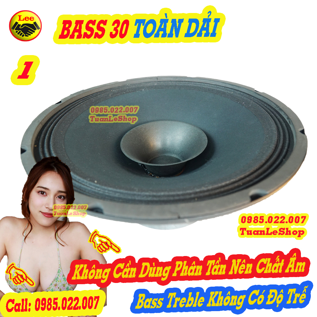 LOA BASS 30 TOÀN DẢI , LOA 3 TAC TOAN DAI TỪ 140 COIL 51 - GIÁ 01 LOA