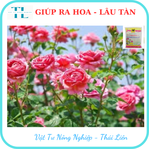 Phân đầu trâu HCMK7 hữu cơ trichoderma + TE - 1 kg