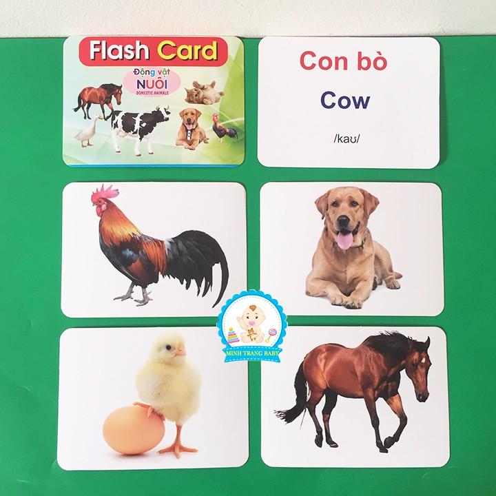 Đồ chơi giáo dục Thẻ Học Thông Minh 19 Chủ Đề loại to song ngữ tiếng Anh loại chuẩn Glenn Doman Flashcard Loại To