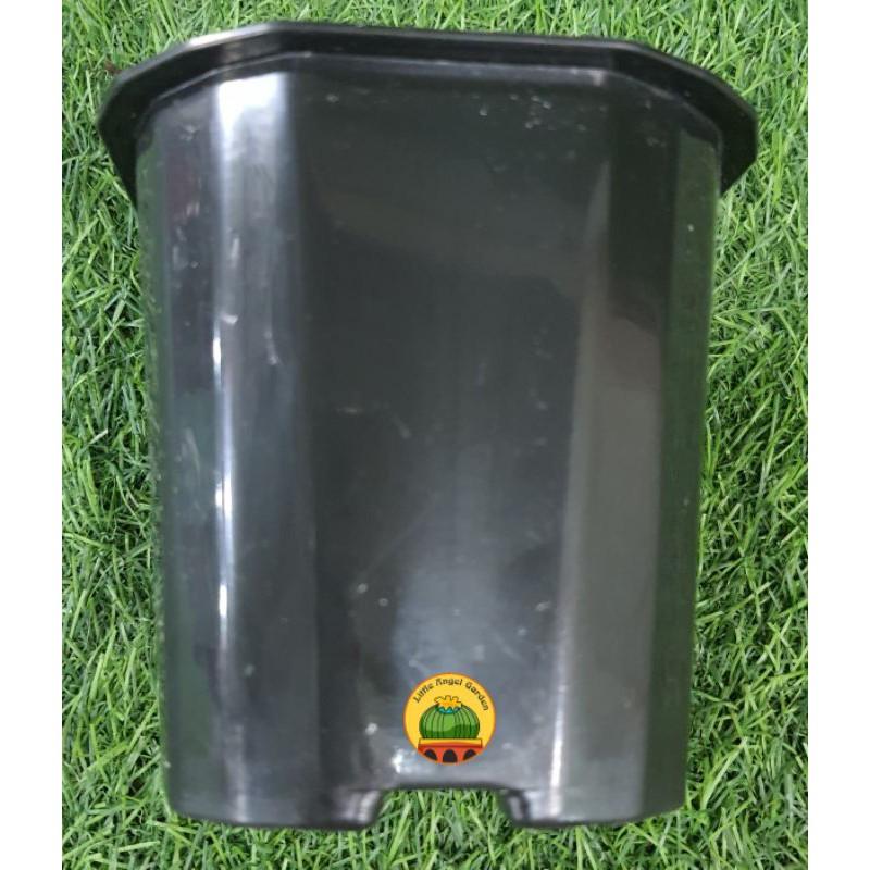 Chậu nhựa vuông đen kích thước 11 x 10cm, giá rẻ