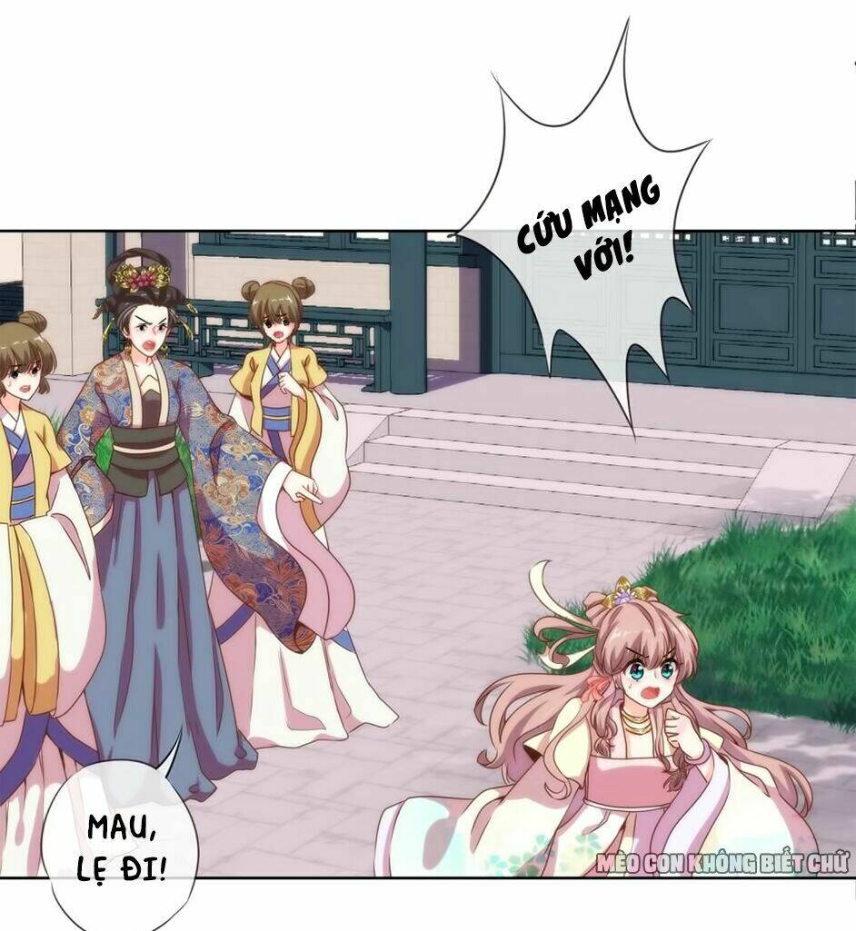 ồ, sủng phi đại nhân của ta chapter 4 8