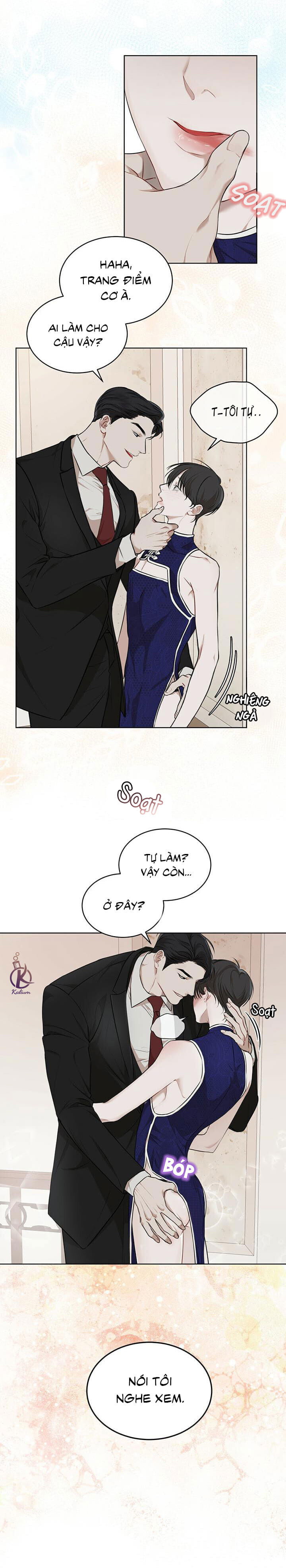 hình thái khởi sinh chapter 27 3