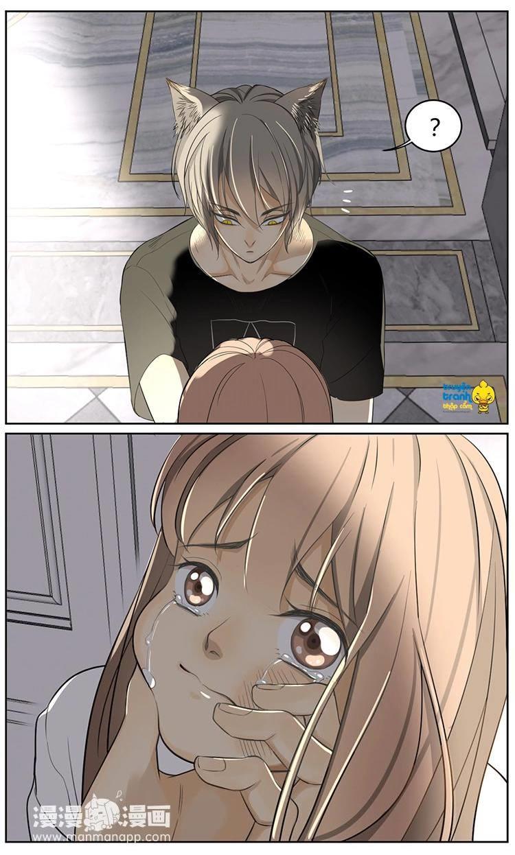 cứu mạng ! loài mèo thống trị thế giới rồi ! chapter 7 12
