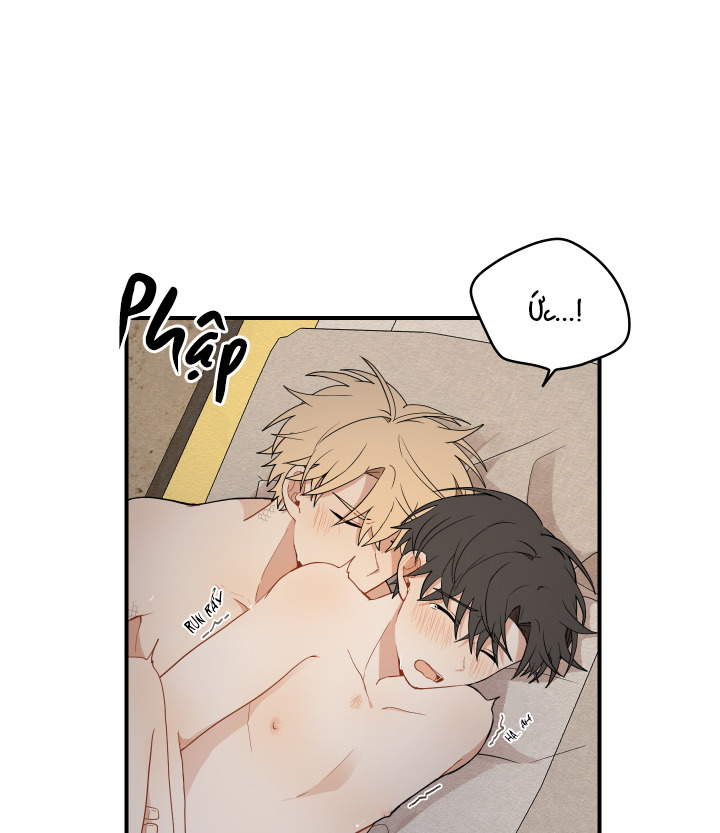 đường hoa liên kiều rơi chapter 17 67