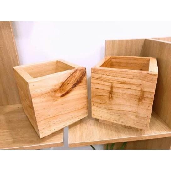 Chậu cây bằng gỗ tự nhiên - Kích thước: 13x13cm