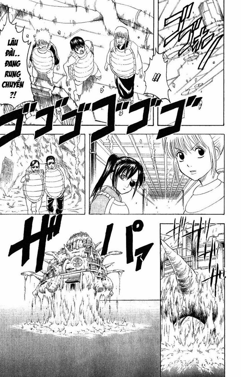 gintama - linh hồn bạc chapter 179 19