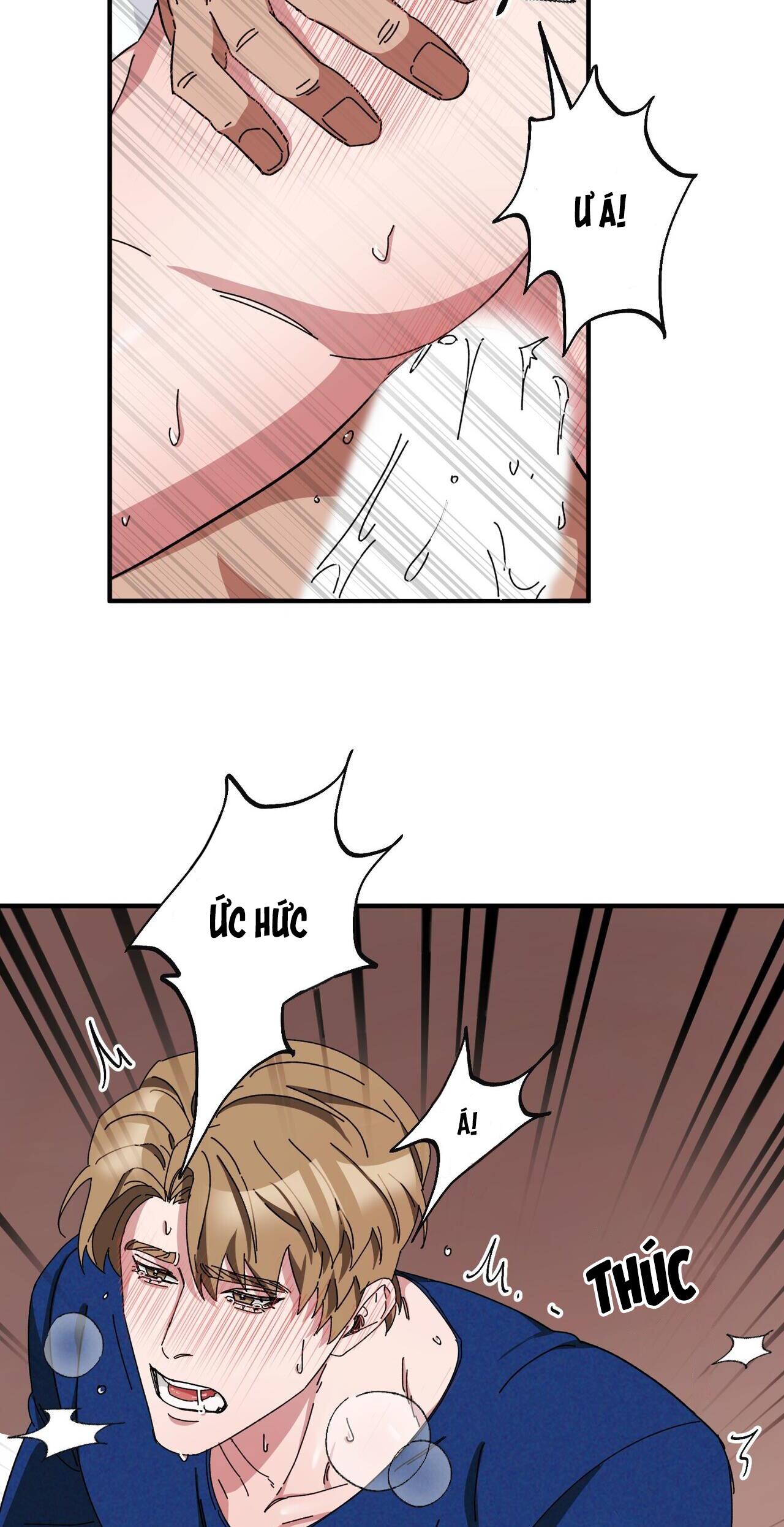 làm dâu nhà tài phiệt họ kang chapter 36 48