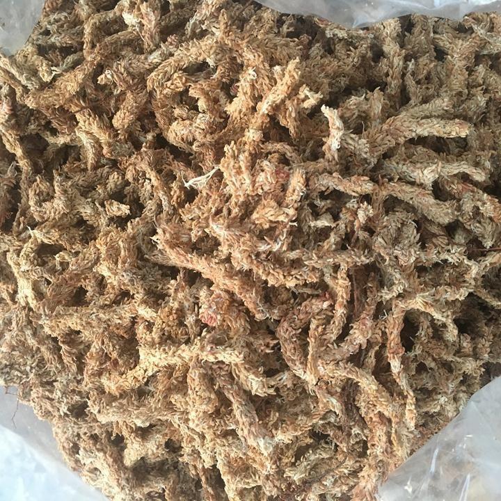300g Rêu Sâu Chine Loại 1, Nhập Khẩu. Chất Lượng Cao, Chuyên Làm Giá Thể Cho Cây, Hoa Lan