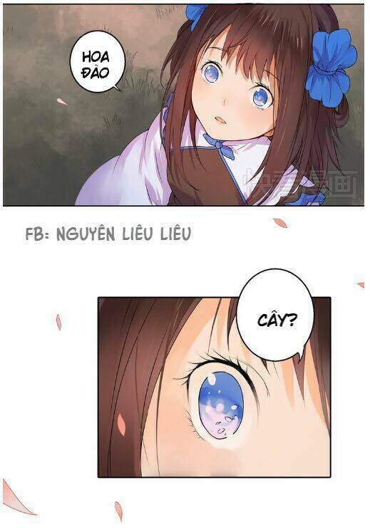 đốt đào hoa chapter 1 22