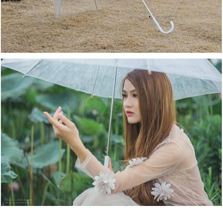 Ô Trong Suốt Hàn Quốc Che Mưa, Chụp ảnh Sống ảo